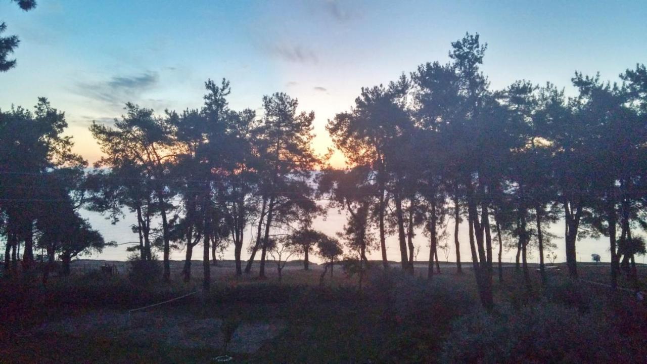 Apartament Nisteri Seaside Limenas  Zewnętrze zdjęcie