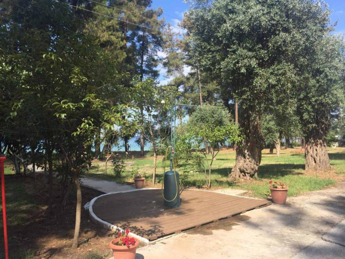 Apartament Nisteri Seaside Limenas  Zewnętrze zdjęcie